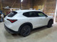 Acura ADX A-SPEC 2025 — Copart