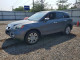 Acura RDX 2010 з аукціону Copart