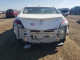 Acura TL 2013 з аукціону Copart