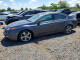 Acura TL 2012 з аукціону Copart