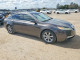 Acura TL 2010 з аукціону Copart