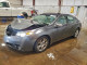 Acura TL 2009 з аукціону Copart