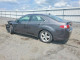 Acura TSX 2010 з аукціону Copart