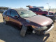 Acura TSX 2010 з аукціону Copart