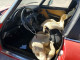 Alfa Romeo SPIDER GRADUATE 1987 — Copart