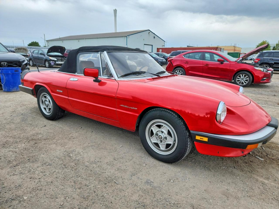 Alfa Romeo SPIDER 1987 — Copart