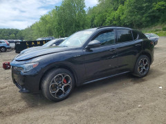 Alfa Romeo STELVIO BASE 2025 — Copart
