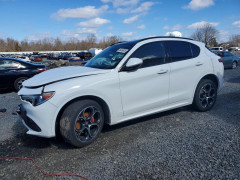 Alfa Romeo STELVIO 2021 — Copart