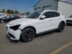Alfa Romeo STELVIO 2019 — Copart
