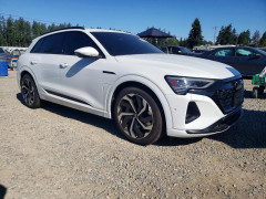 Audi Q8 E-TRON 2024 — Copart