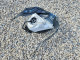 Bmw S 2025 — Copart