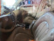 Buick LUCERNE 2006 — Copart