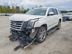 Cadillac ESCALADE 2019 — Copart