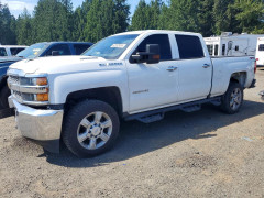 Chevrolet SILVERADO K2500 HEAVY DUTY 2019 — Copart