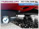 Chevrolet CORVETTE 1999 — Copart