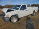 Chevrolet SILVERADO C1500 2008 — Copart