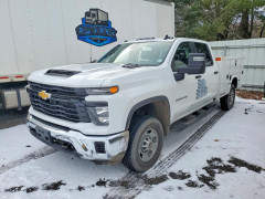 Chevrolet SILVERADO 2024 — Copart