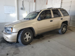 Chevrolet TRAILBLZR 2006 — Copart