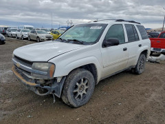 Chevrolet TRAILBLZR 2006 — Copart