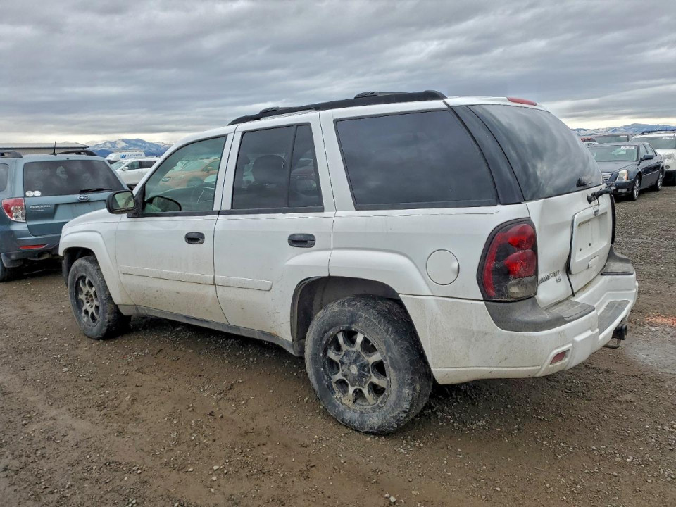 Chevrolet TRAILBLZR 2006 — Copart