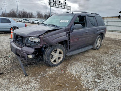 Chevrolet TRAILBLZR 2008 — Copart