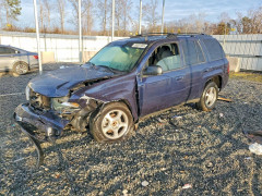 Chevrolet TRAILBLZR 2008 — Copart