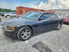 Dodge CHARGER 2013 — Copart