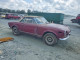 Fiat 124 1972 — Copart