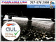 Fiat 500 2013 — Copart