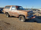 Ford BRONCO 1981 — Copart