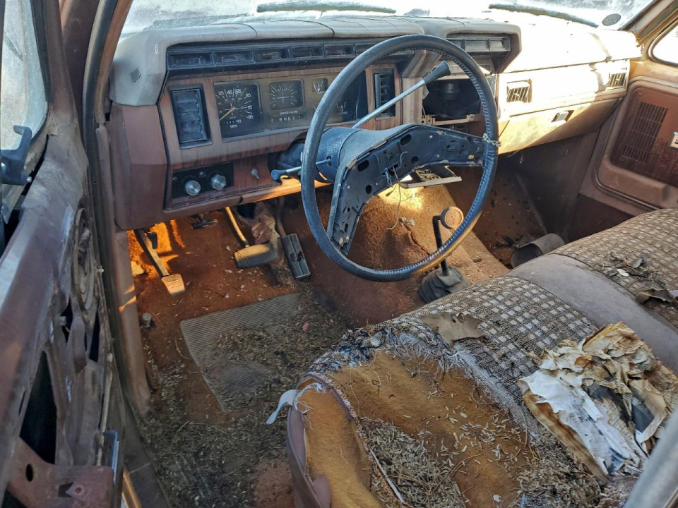 Ford BRONCO 1981 — Copart