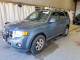 Ford ESCAPE 2010 — Copart