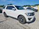 Ford EXPEDITION 2019 — Copart