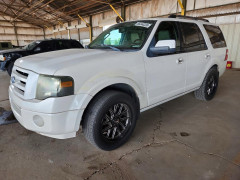 Ford EXPEDITION 2010 — Copart