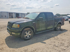 Ford F-150 2005 — Copart
