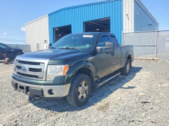 Ford F-150 2014 — Copart