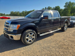 Ford F-150 2014 — Copart