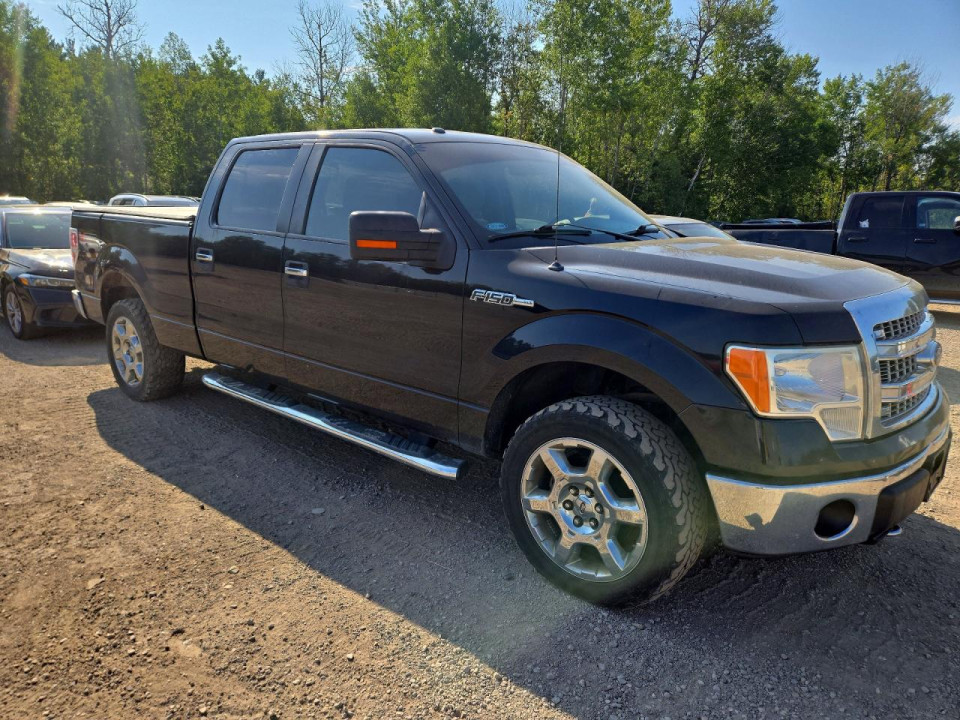 Ford F-150 2014 — Copart