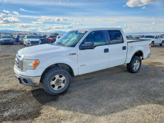 Ford F-150 2011 — Copart