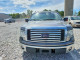 Ford F-150 2010 — Copart