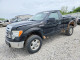 Ford F150 2009 — Copart