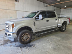 Ford F250 2019 — Copart