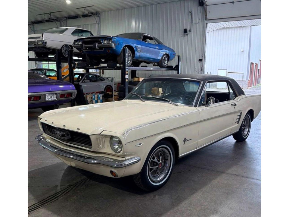 Ford MUSTANG BASE 1966 — Copart