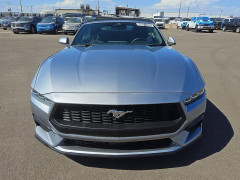 Ford MUSTANG 2024 — Copart