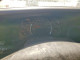Gmc SAVANA 2008 — Copart