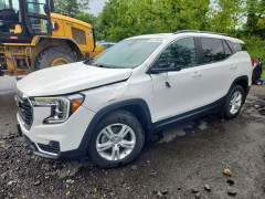 Gmc TERRAIN 2024 — Copart