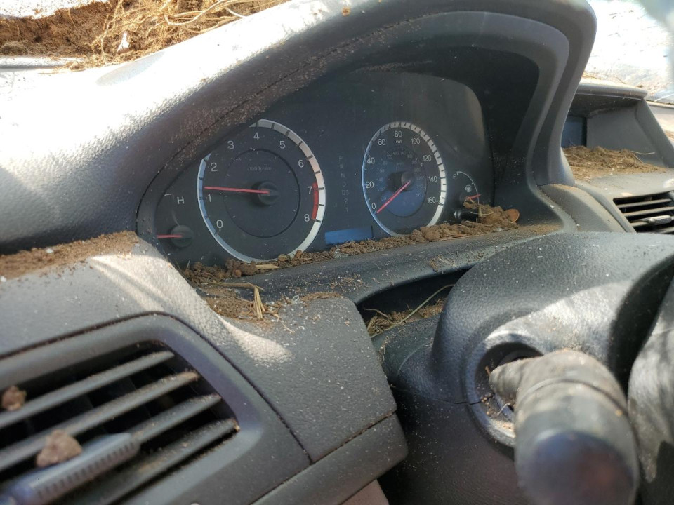 Honda ACCORD 2009 — Copart