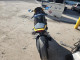 Honda CBR CYCLE 2008 — Copart