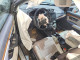 Honda CRV 2019 — Copart