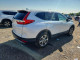 Honda CRV 2019 — Copart